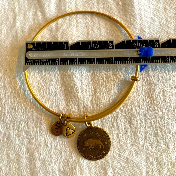 Alex and Ani Taurus Charm Bangle - Picture 4 of 4